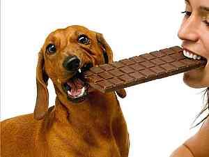 Витамин радости