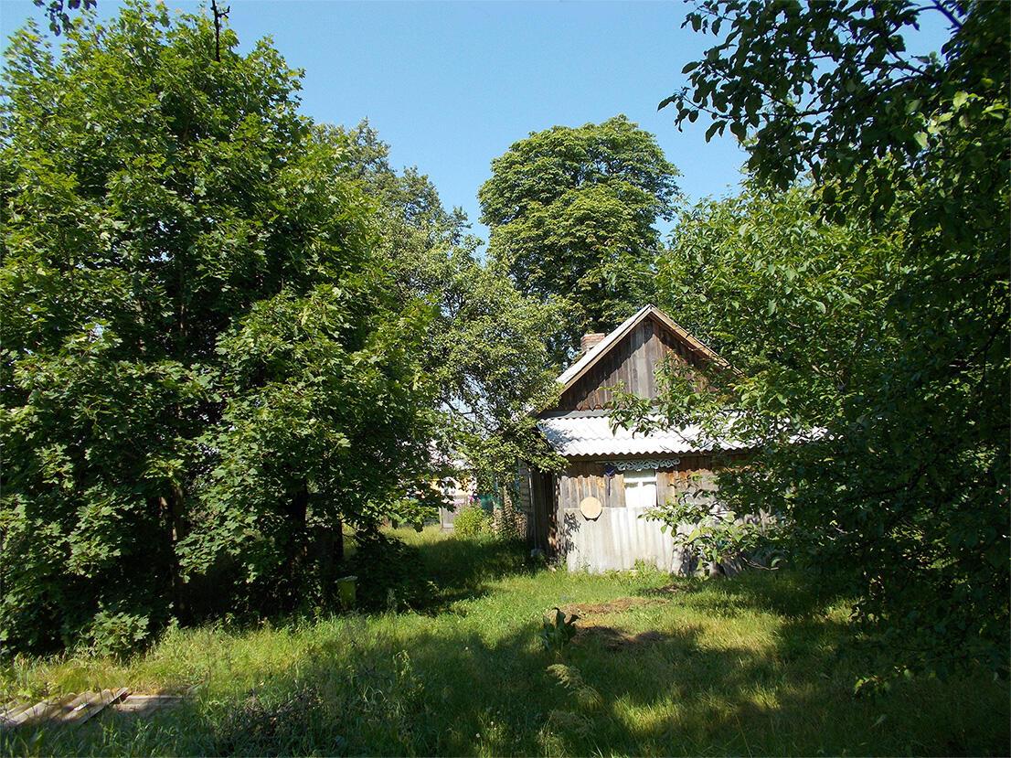 А пан соби грыби но зь синко