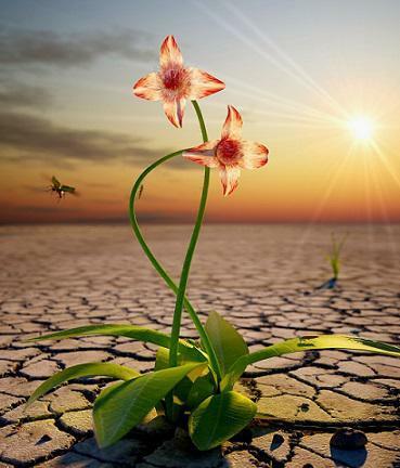 ЖИЗНЬ - ОБМАН