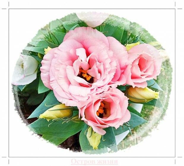 Эта дама с придыханием