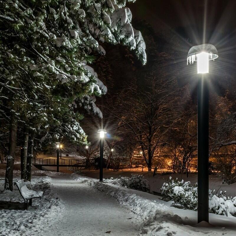 Новогодний вояж