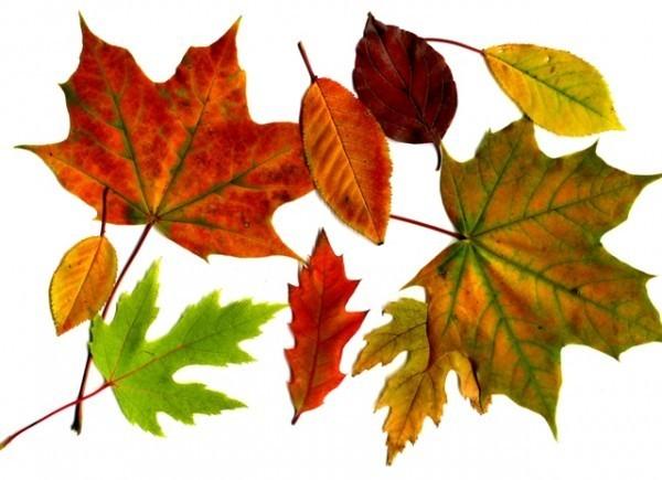 ПОДУМАВ О СЕБЕ