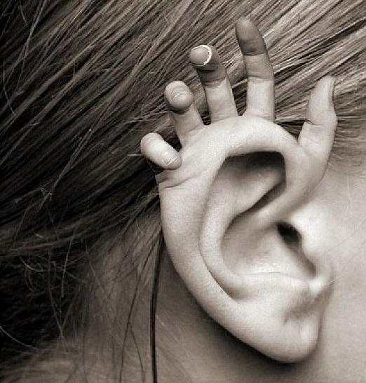 Человеческое ухо