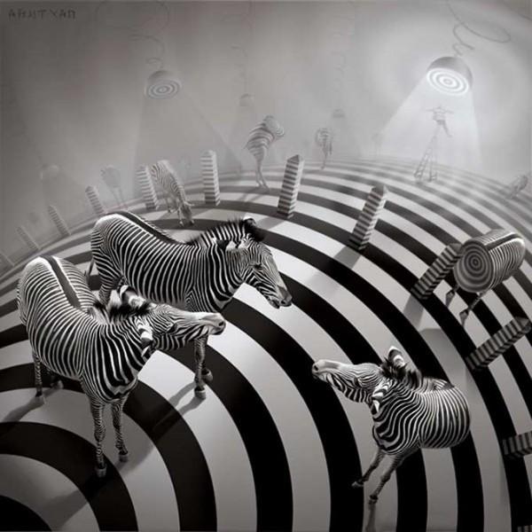 Жизнь- зебра...