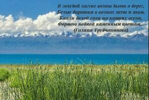 В голубой лагуне