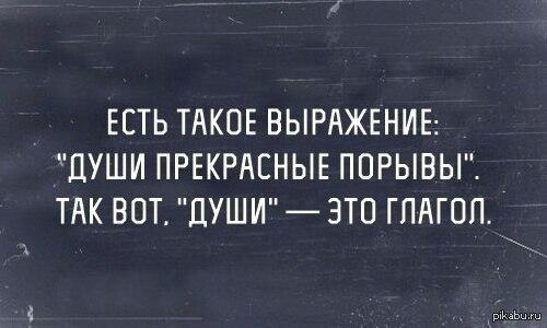 Души в душе своей порывы