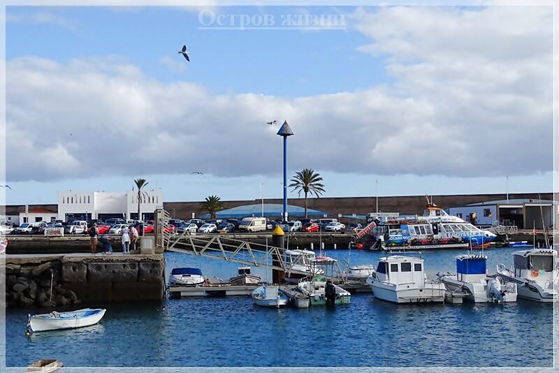 Из старой книги Капитана. Остров жизни