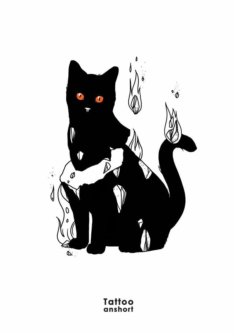 Бледно – Чёрная Кошка