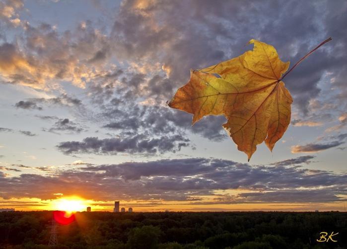 Боль разлуки