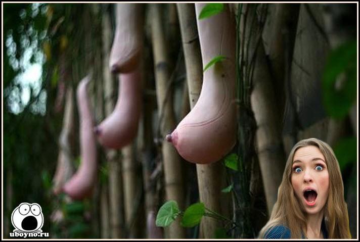 Зачем силикон?..