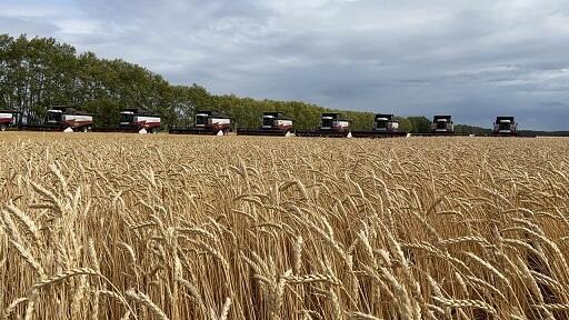 Ты, степь моя