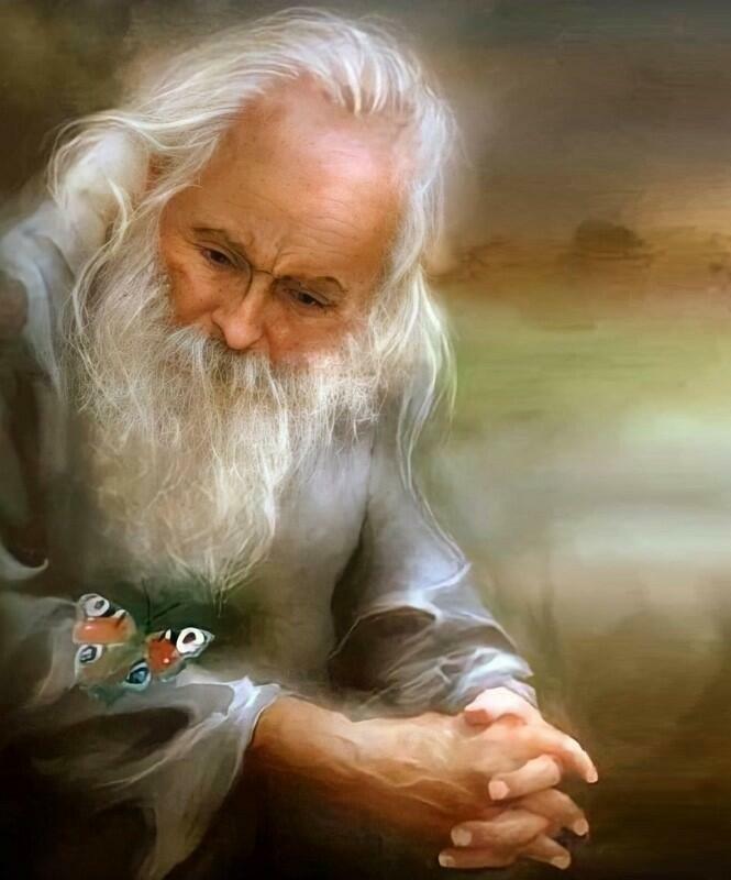 МУДРЕЦ и МОТЫЛЁК 