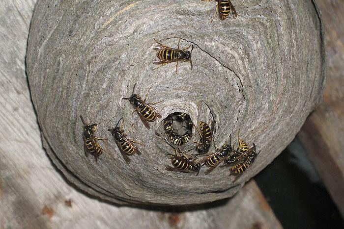 Оправдай мои ожидания...