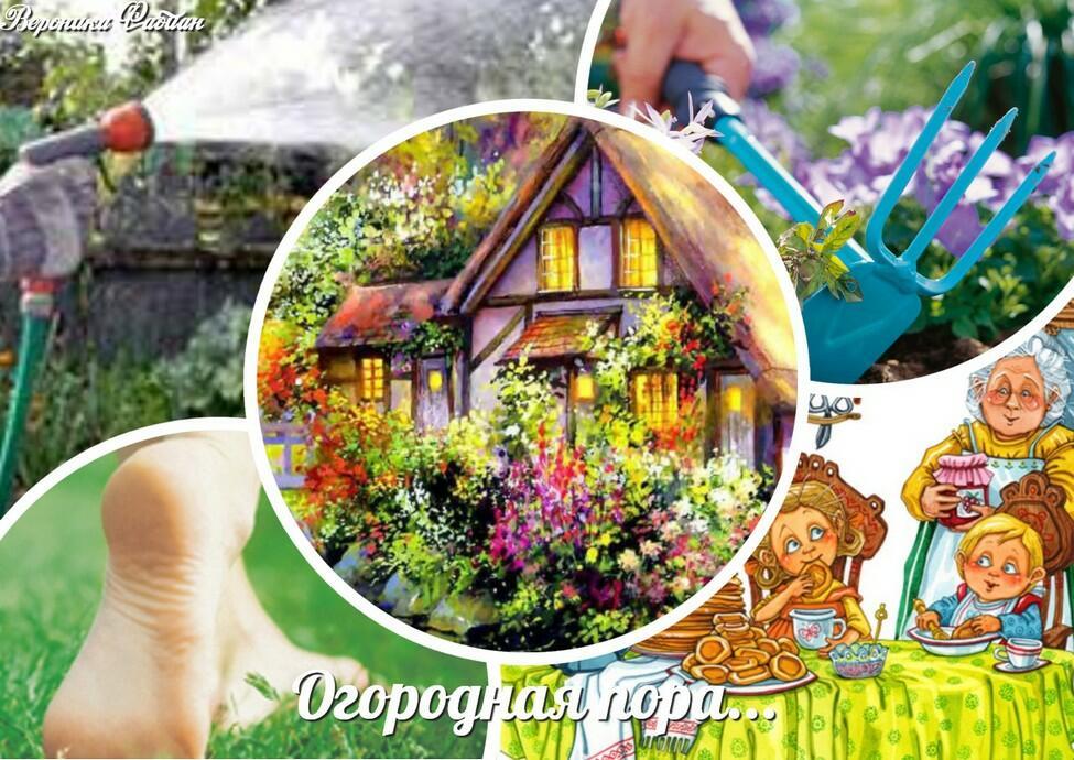 Огородная пора... Шуточное