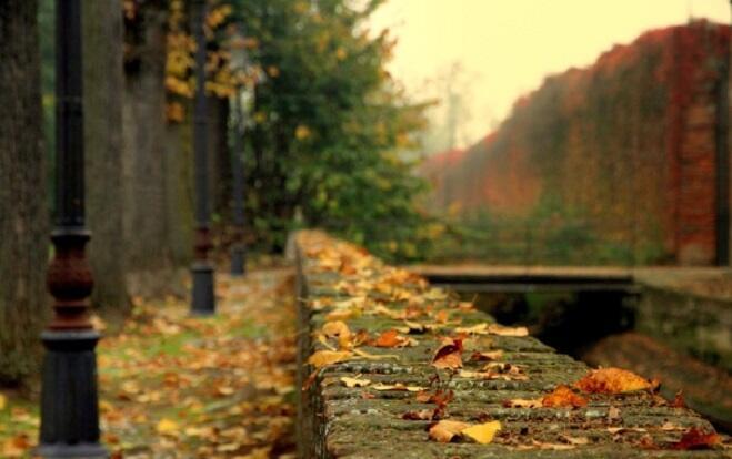 "Мы сегодня не одни…" (02.10.2021)