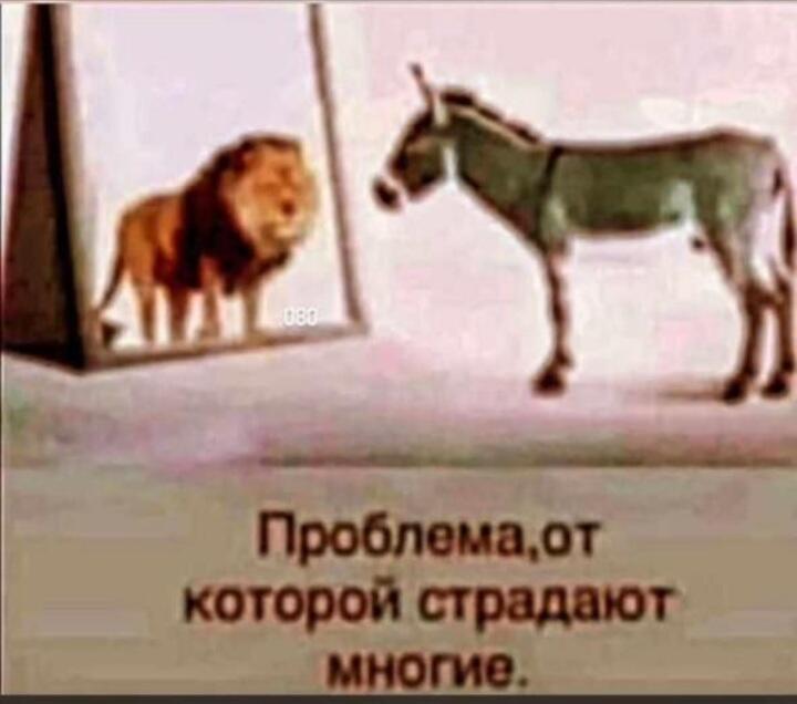 Проблема, от которой страдают многие