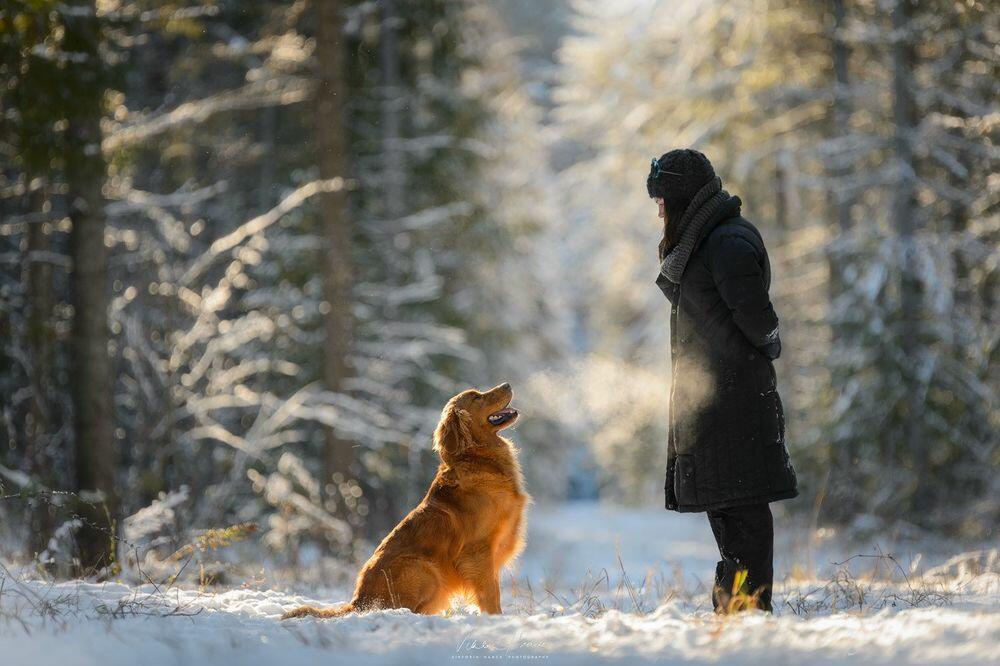Человек и собака
