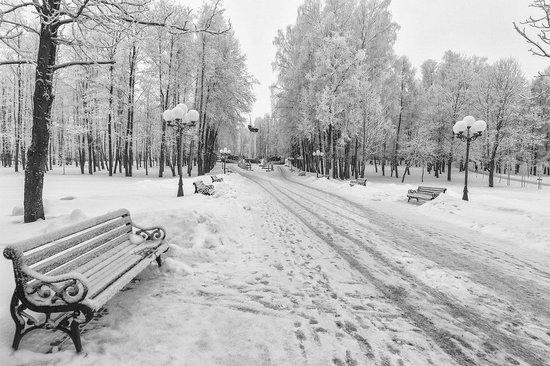 старый парк засыпан снегом