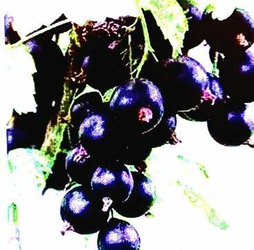 Трудовое лето завершалось.