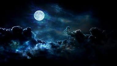 Лунный свет (Мечта вампира)