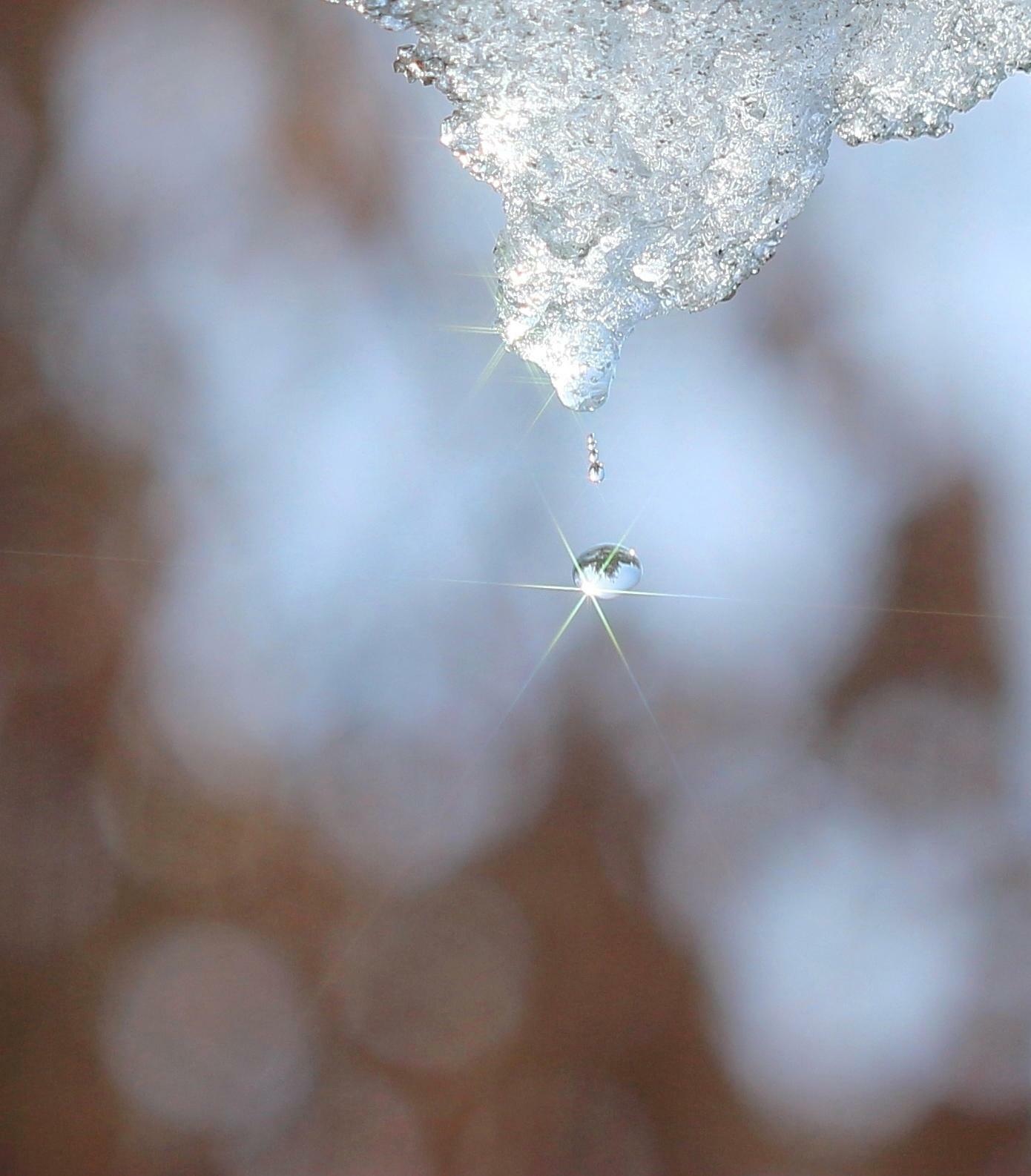 ПРИЧУДЫ ФЕВРАЛЯ