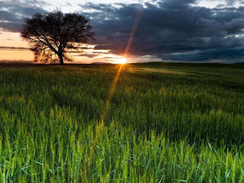 Пятьдесят оттенков серого