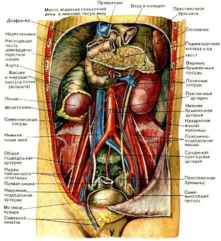 Человек - он бумажник кожаный!