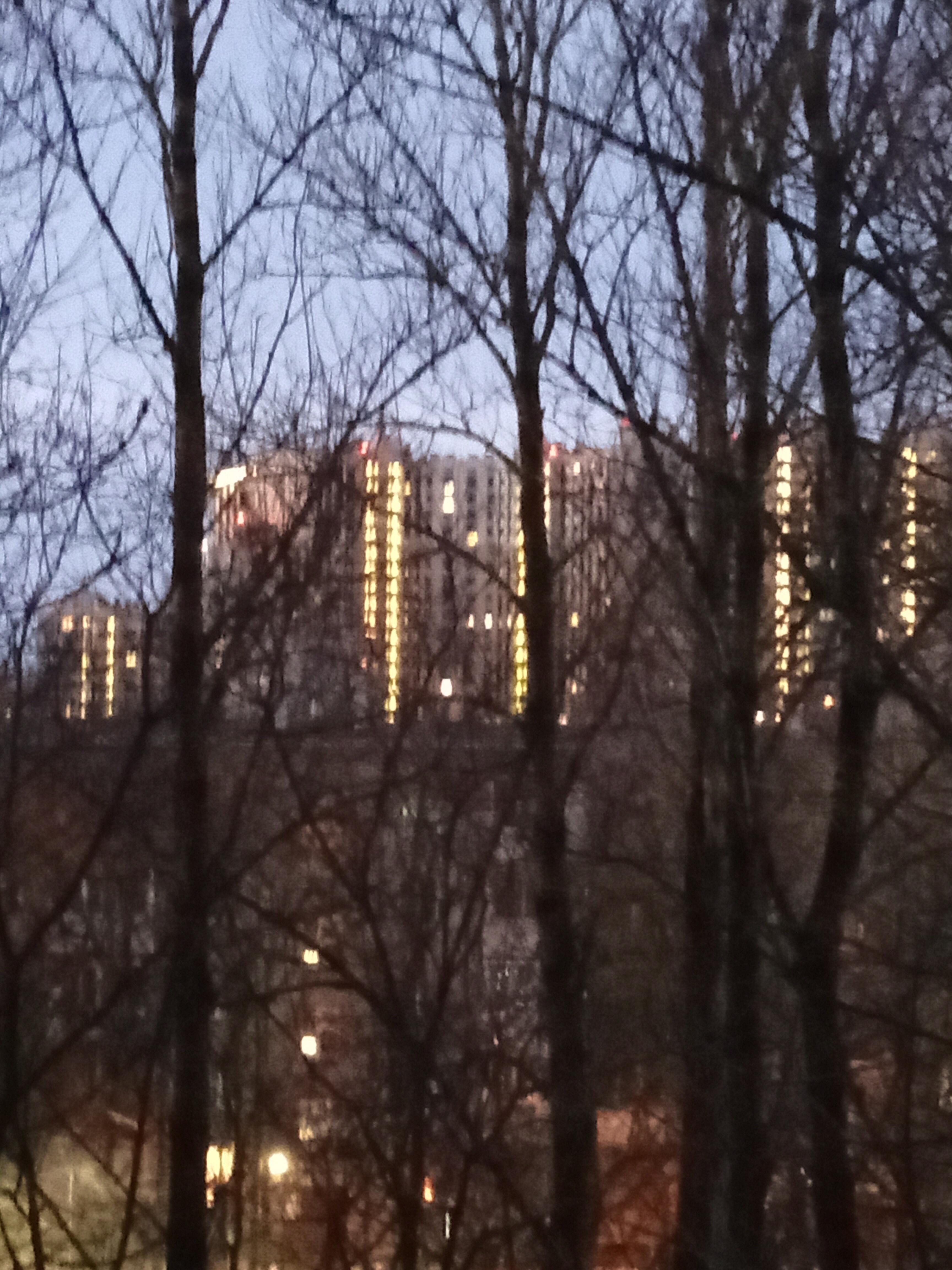 Новогодние надежды