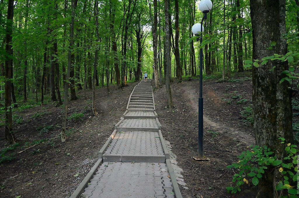 ПРОГУЛКА В МОНАСТЫРСКИЙ ЛЕС