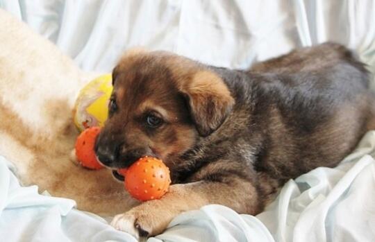 Находка (100 слов)