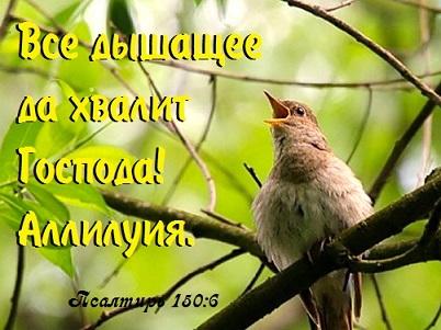 ИСТИННЫЙ ХУДОЖНИК