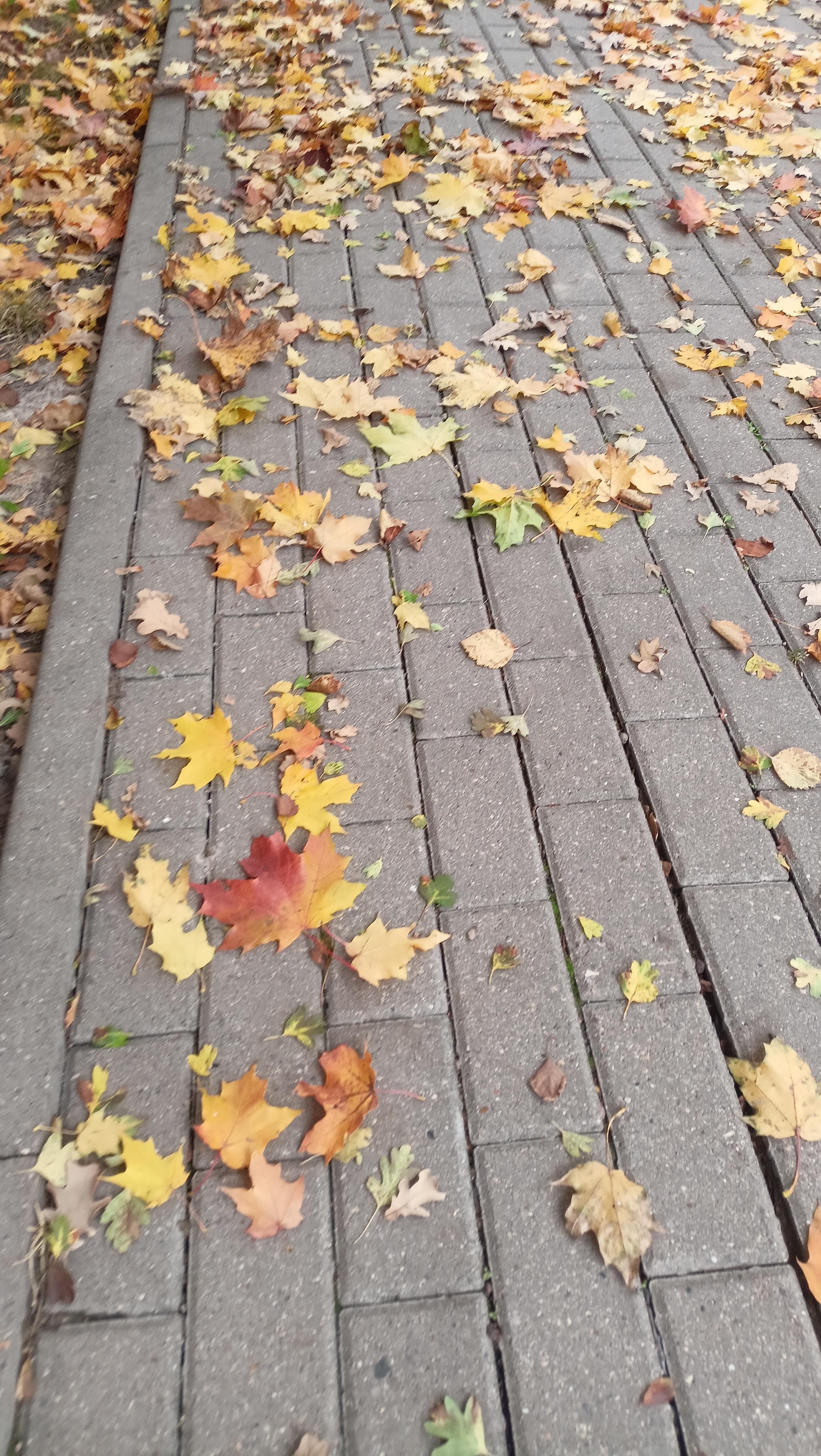 О тебе молюсь