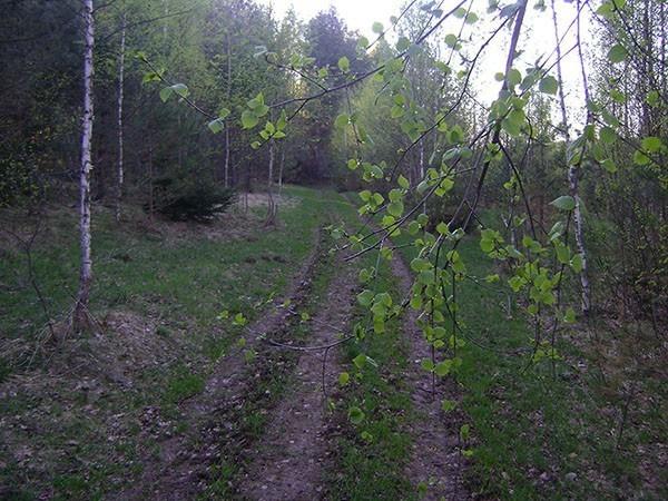 ДОРОГИ НАШЕЙ ЖИЗНИ