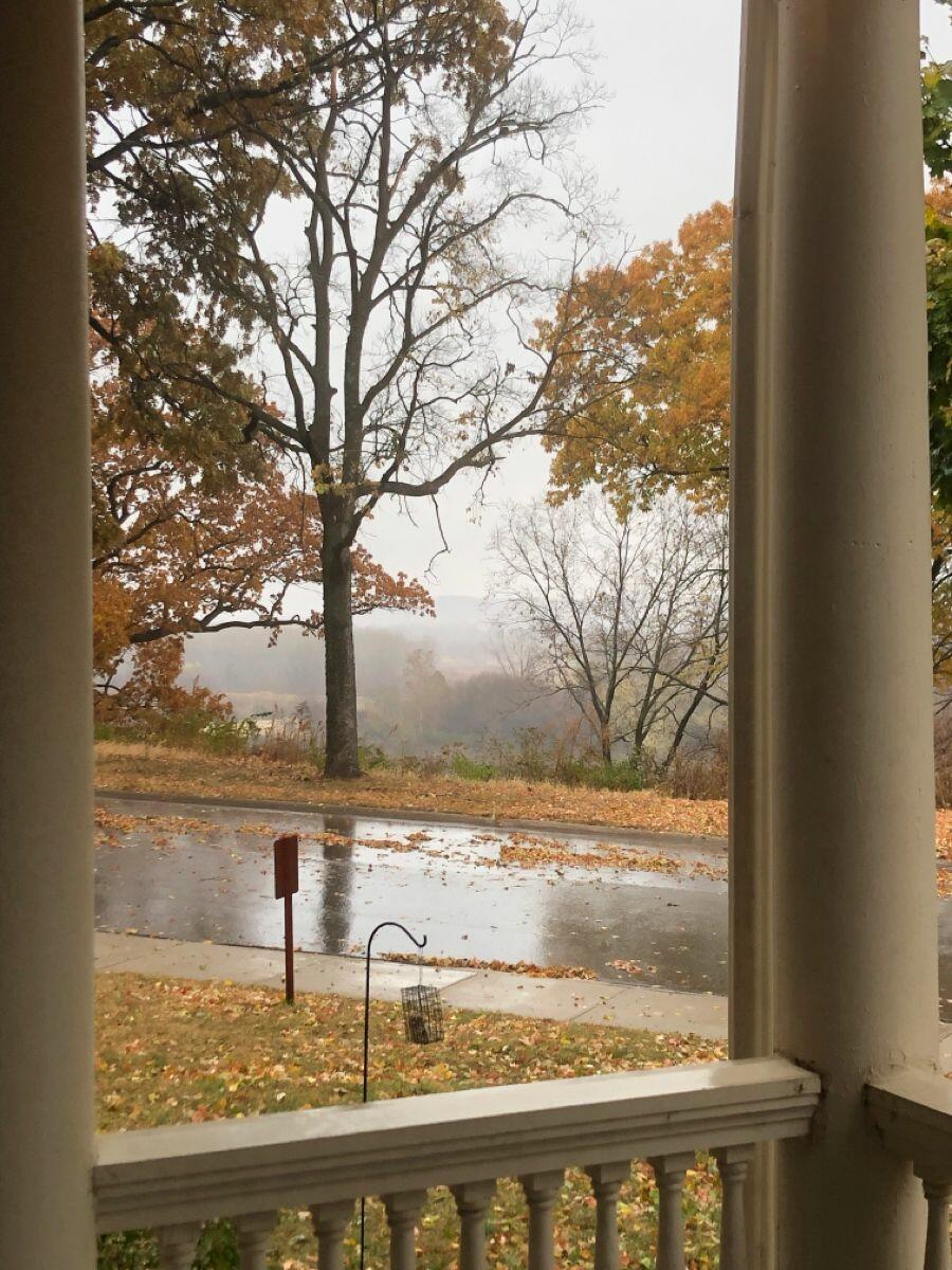 Поздняя осень... в декабре