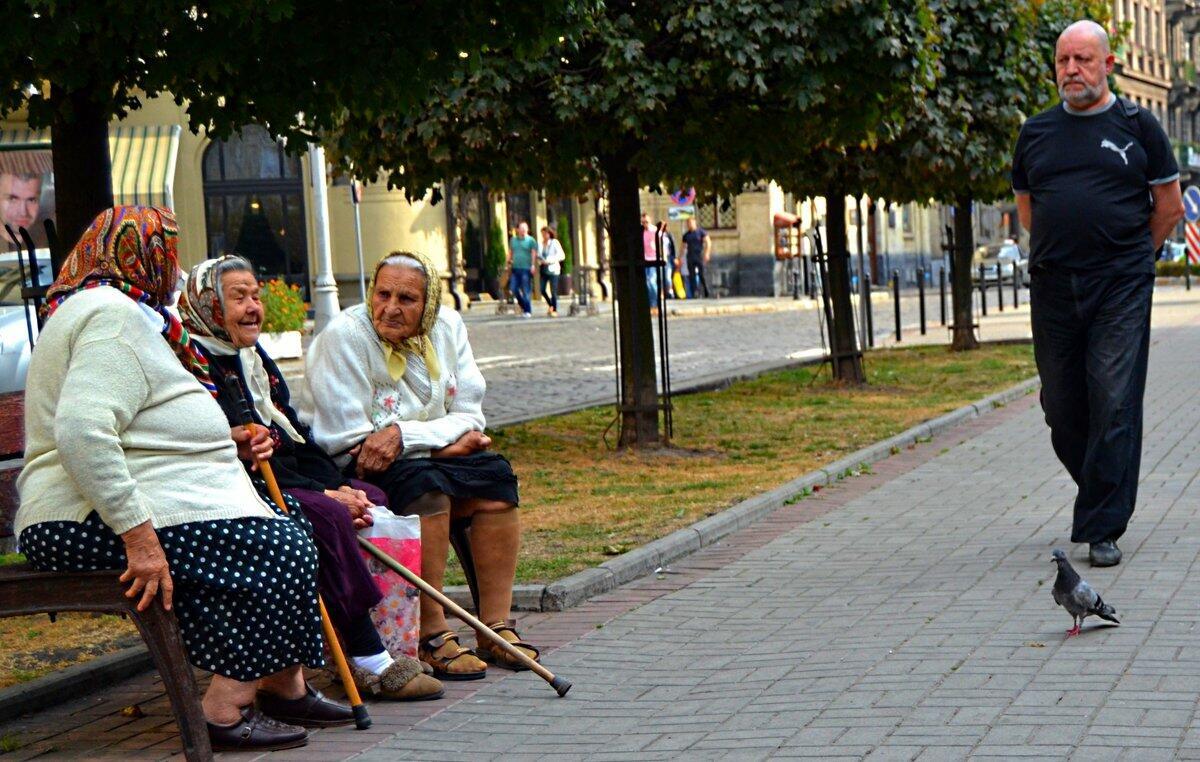 Три бабули на скамейке