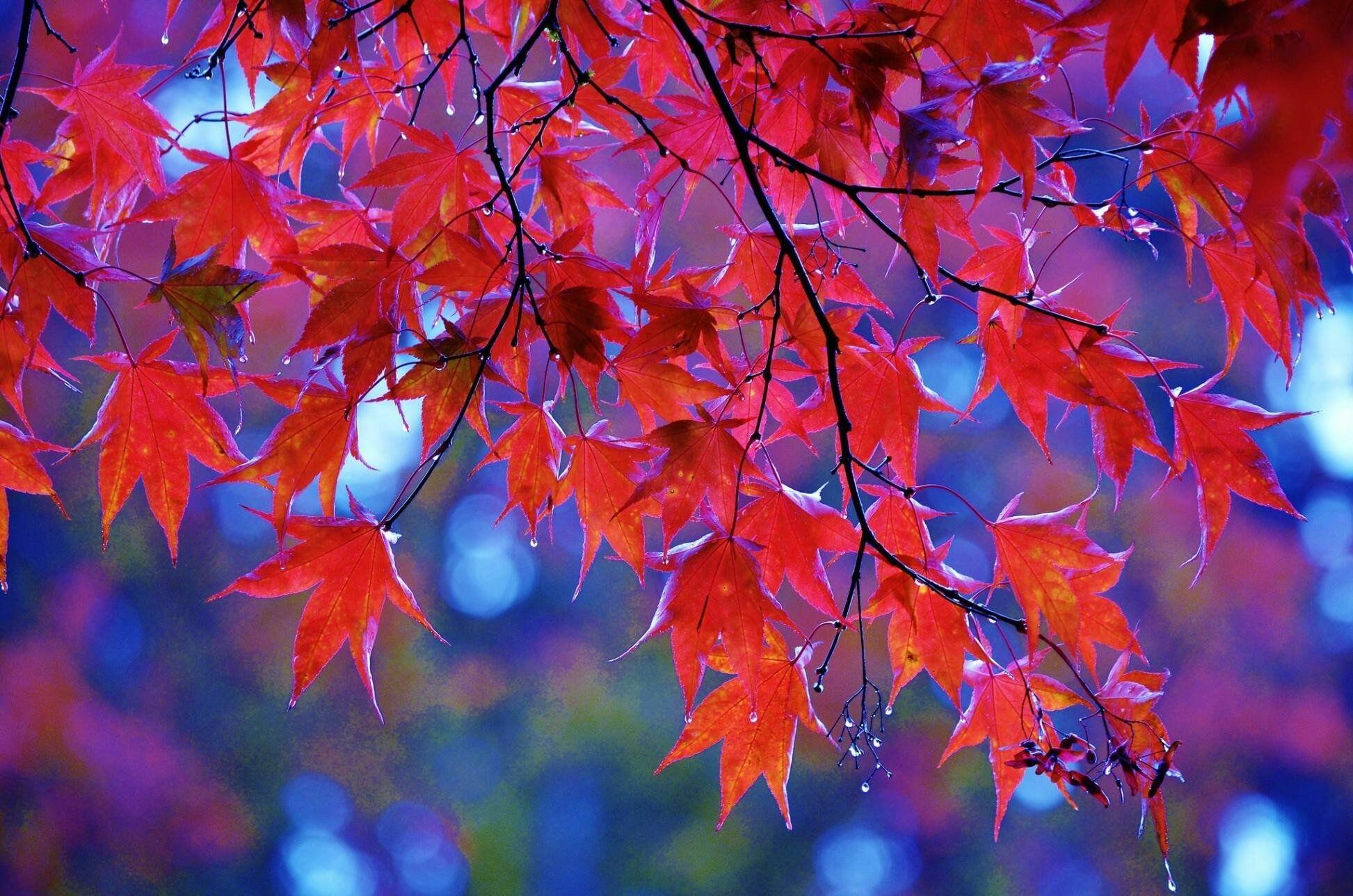 ПЕЙ - НЕ ХОЧУ