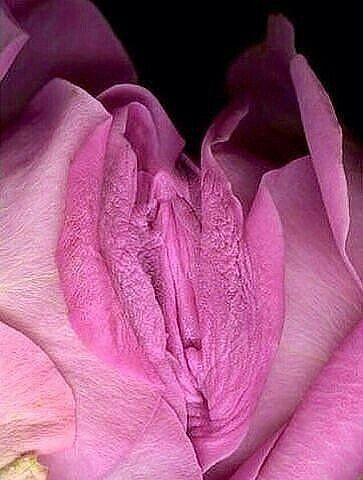 папилляры пальцев 18+