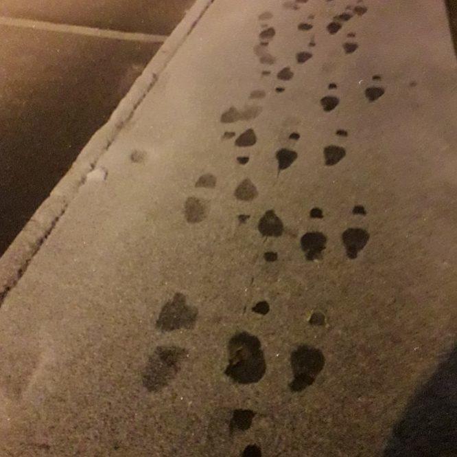 Как трудно жить