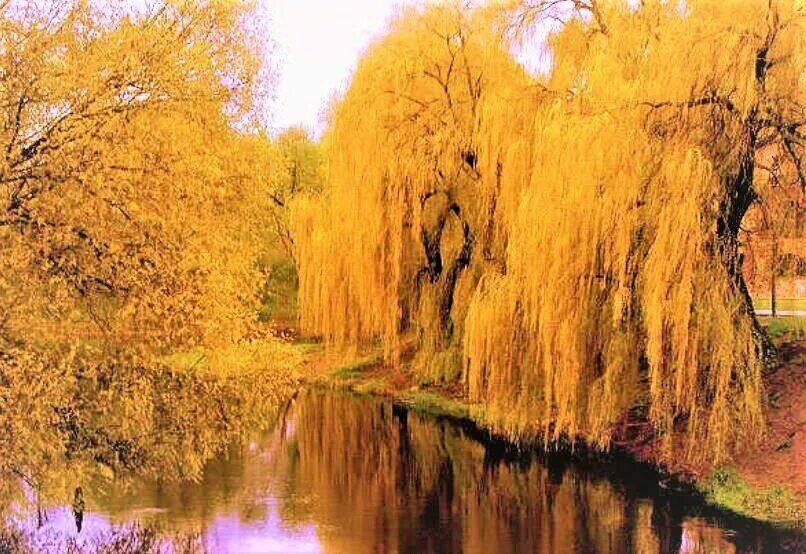 Осеннее настроение