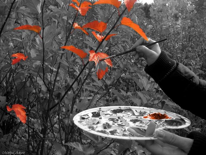 Я хочу быть просто счастливой