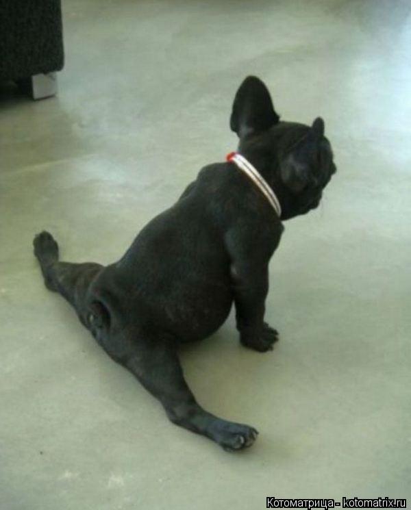 совсем не трудно...