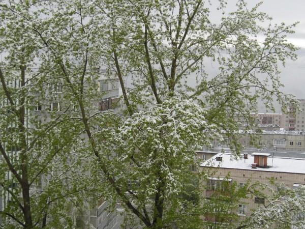 так бывает...