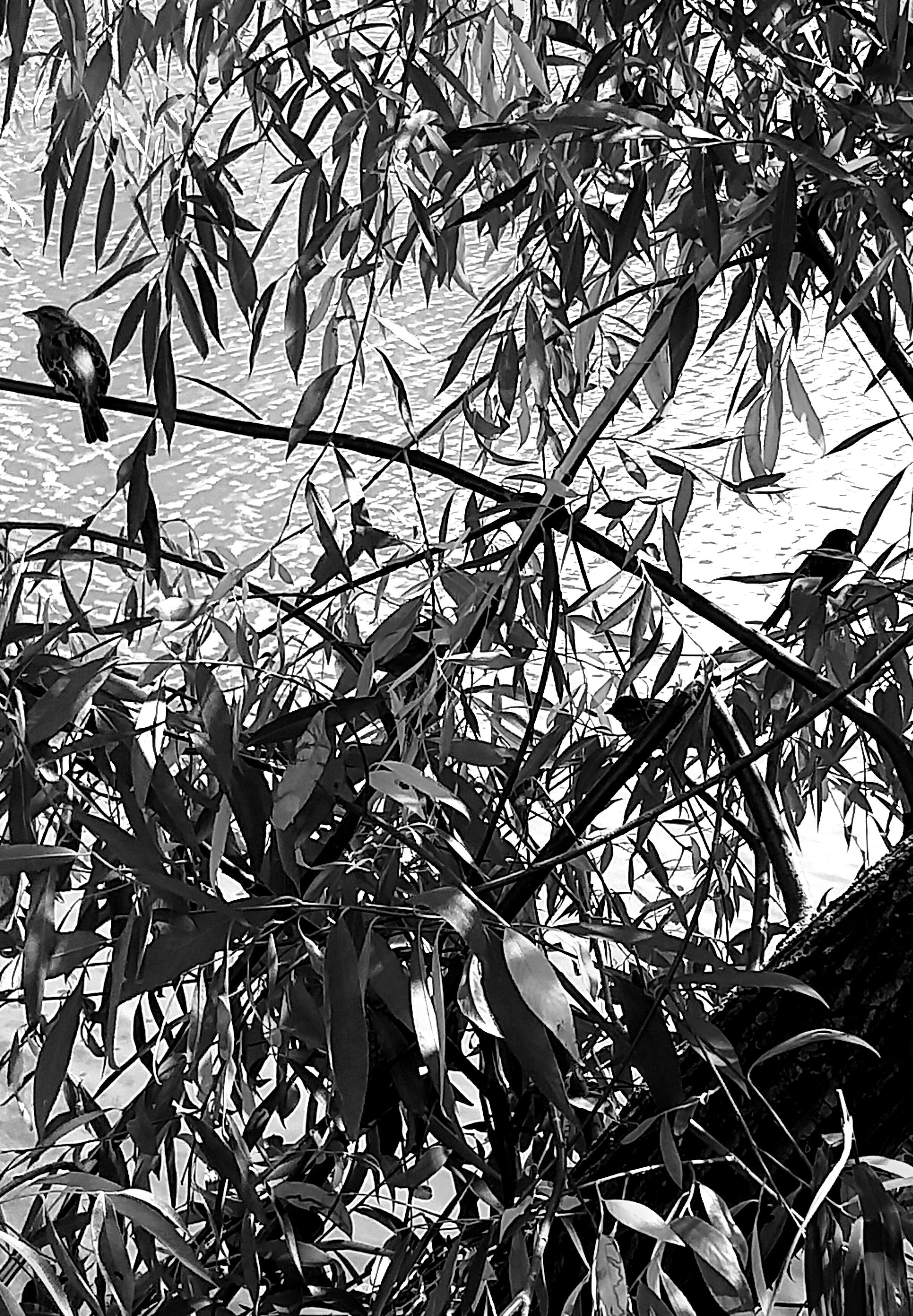 Разместились