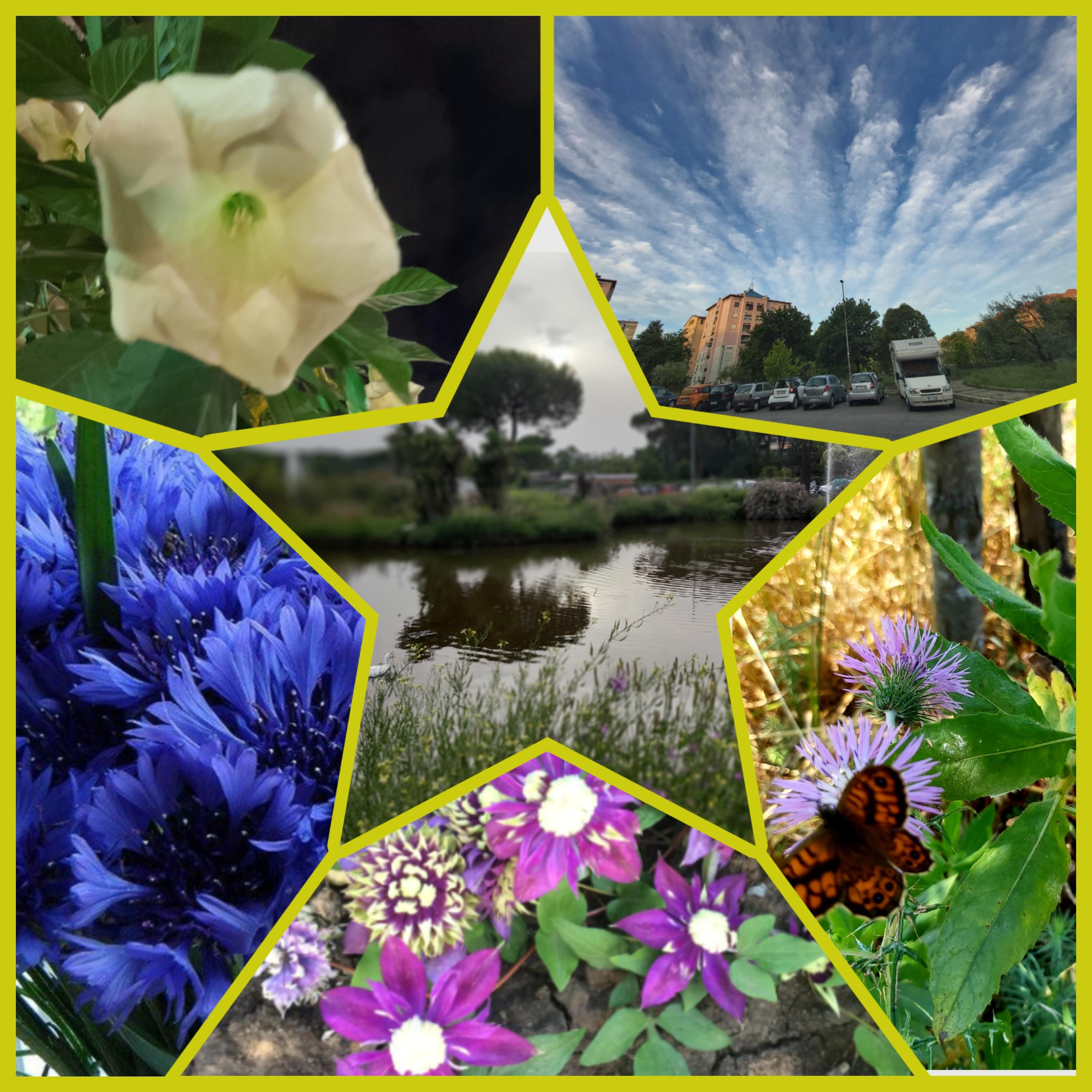 Макушка лета