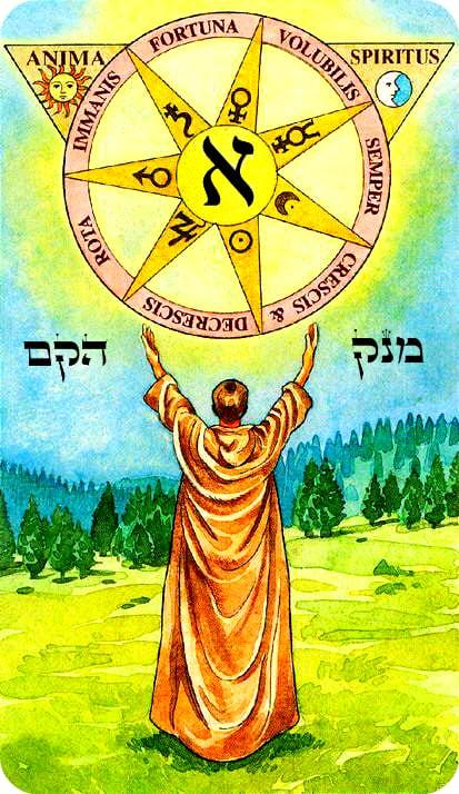 Ария халдея