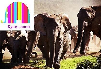 Лёва, Сёма и слоны