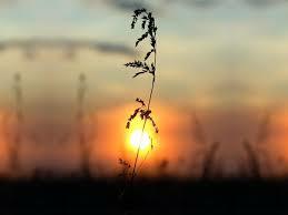 И будет жизнь, приятный наш сюрприз