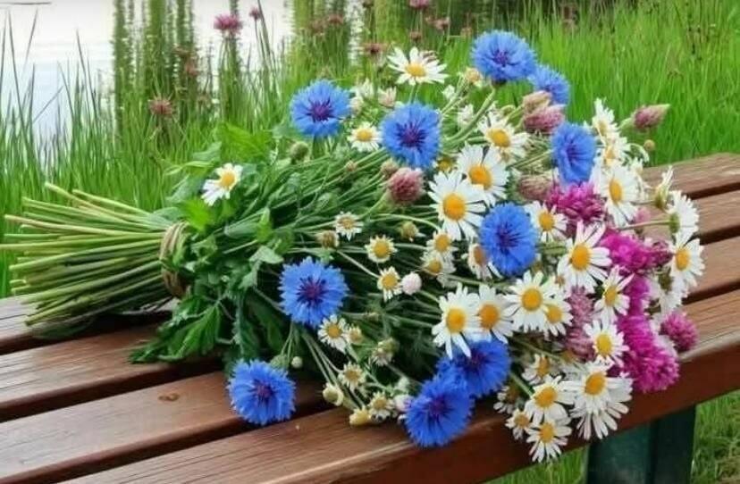 Мою жизнь посвящаю Тебе 