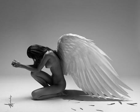 Колдовство ночи....