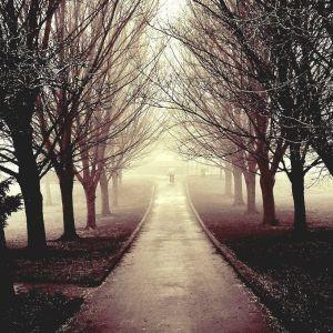 Снова осень.